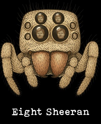 Eight