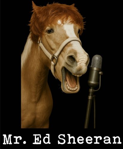 Mr.-Ed