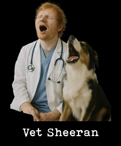 Vet